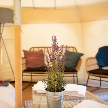 Tcs Pop-up Glamping Laax Glamping Flims